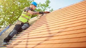 Best Emergency Roof Repair Services  in Rosita, TX