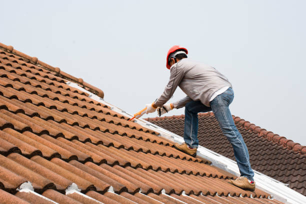 Best Chimney Flashing Repair  in Rosita, TX