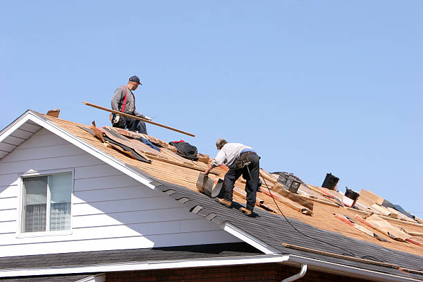 Best Sheet Metal Roofing  in Rosita, TX
