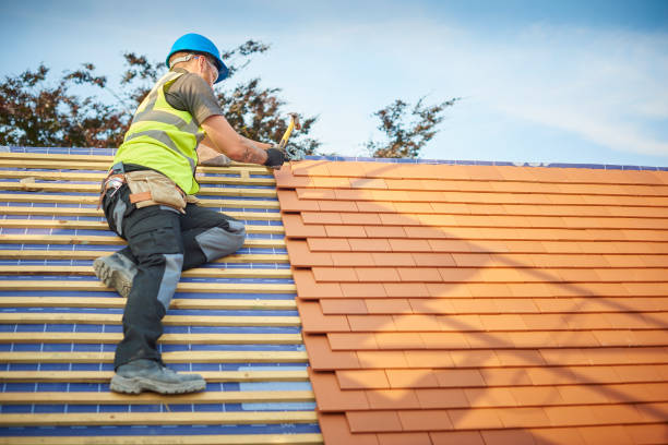 Best Steel Roofing  in Rosita, TX