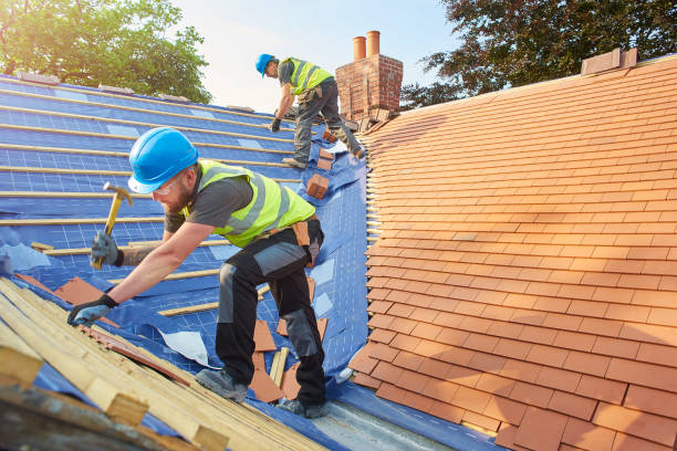 Best Storm Damage Roof Repair  in Rosita, TX